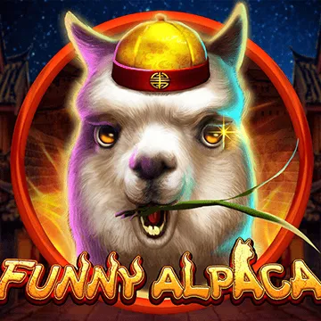 Funny Alpaca