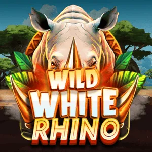 Wild White Rhino